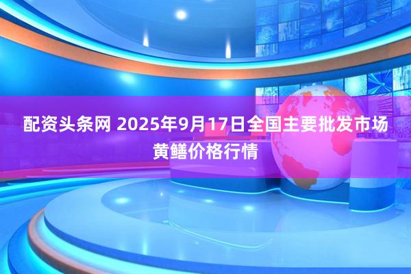 配资头条网 2025年9月17日全国主要批发市场黄鳝价格行情