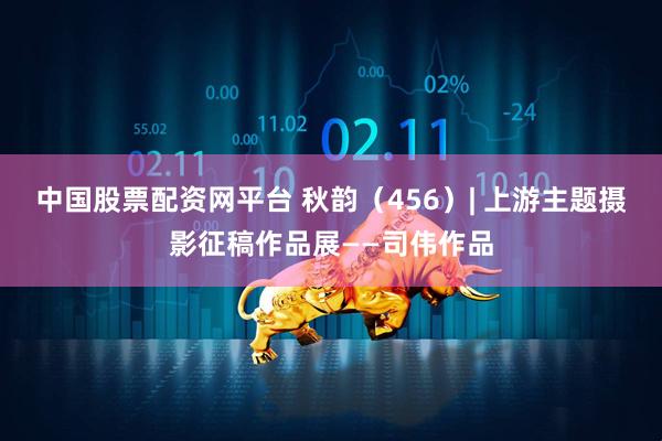 中国股票配资网平台 秋韵（456）| 上游主题摄影征稿作品展——司伟作品